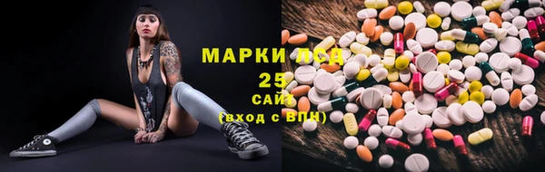 прущие грибы Верхнеуральск