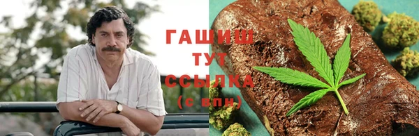 прущие грибы Верхнеуральск