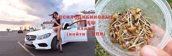 прущие грибы Верхнеуральск